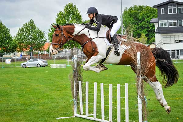 waikato-ap-home-show-jumping-600px