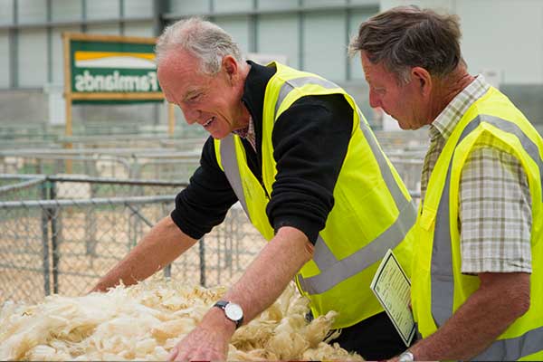 waikato-ap-home-wool-judging-600px