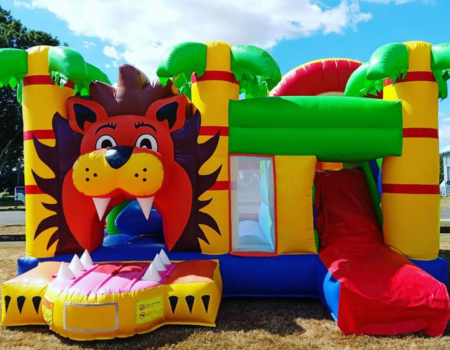 lion bouncy castle